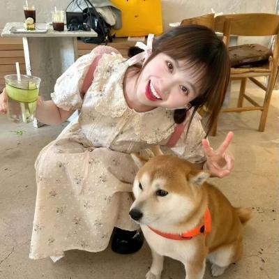 爱情来的时候2
